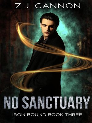 cover image of No Sanctuary